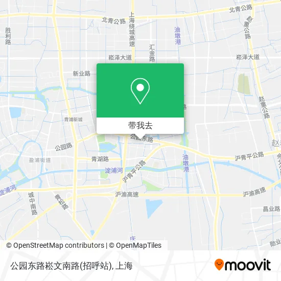 公园东路崧文南路(招呼站)地图