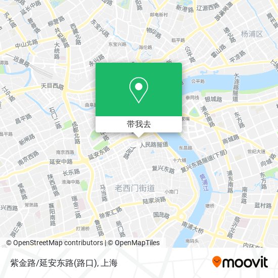 紫金路/延安东路(路口)地图