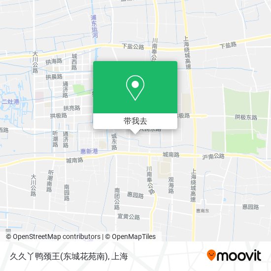 久久丫鸭颈王(东城花苑南)地图