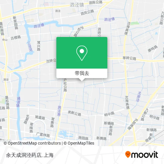 余天成洞泾药店地图