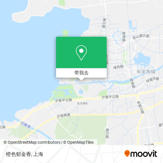橙色郁金香地图