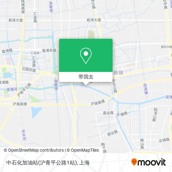 中石化加油站(沪青平公路1站)地图