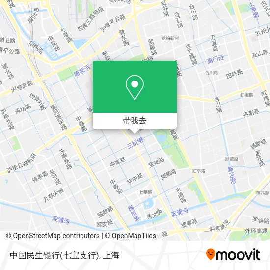 中国民生银行(七宝支行)地图