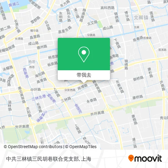 中共三林镇三民胡巷联合党支部地图
