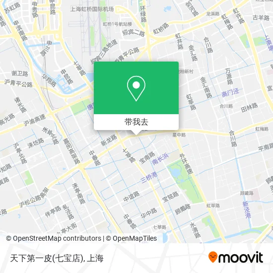天下第一皮(七宝店)地图