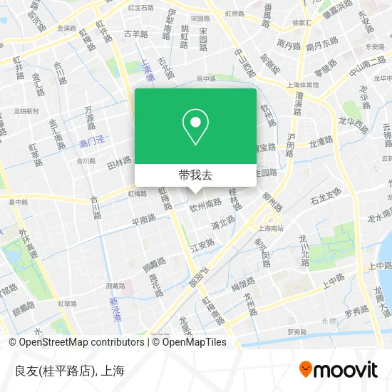 良友(桂平路店)地图