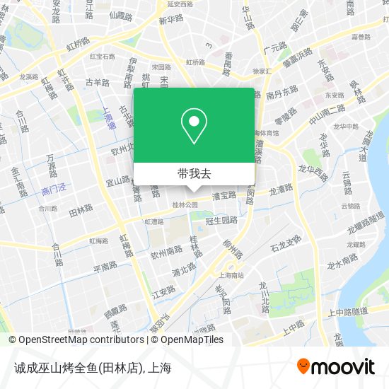 诚成巫山烤全鱼(田林店)地图