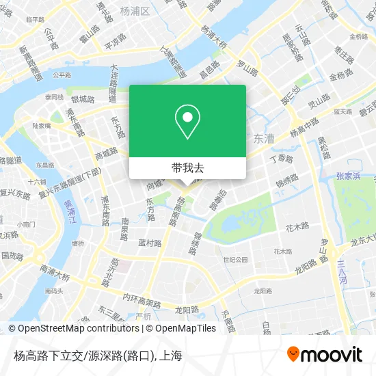 杨高路下立交/源深路(路口)地图