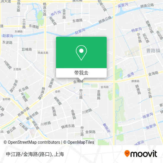 申江路/金海路(路口)地图