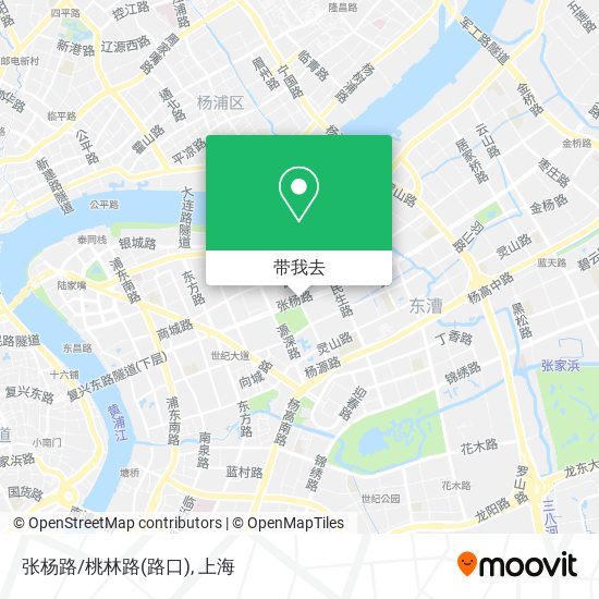 张杨路/桃林路(路口)地图