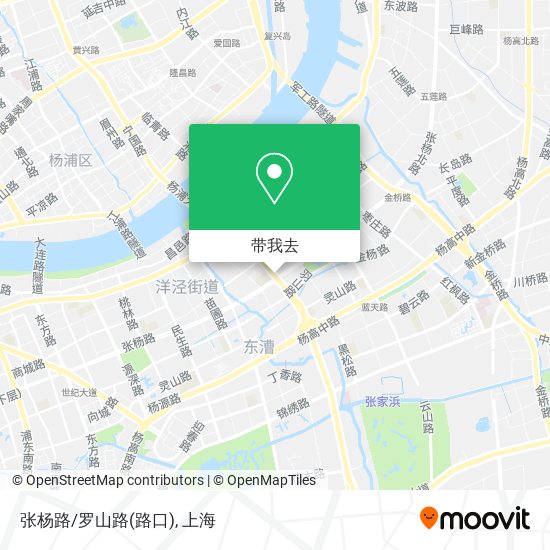 张杨路/罗山路(路口)地图