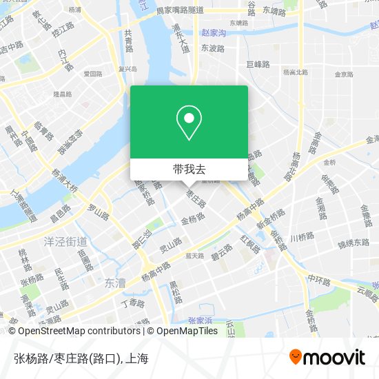 张杨路/枣庄路(路口)地图