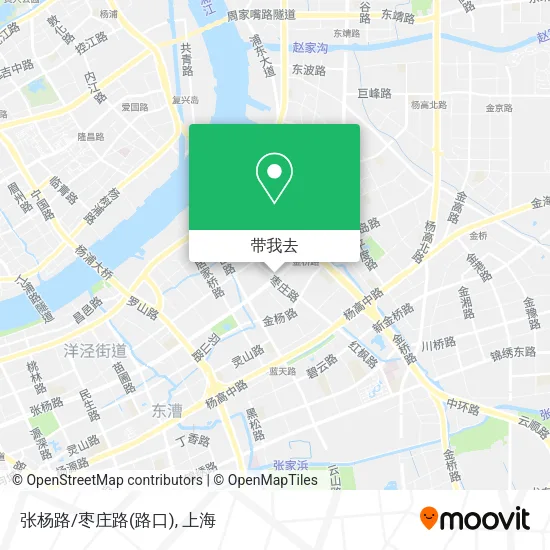 张杨路/枣庄路(路口)地图