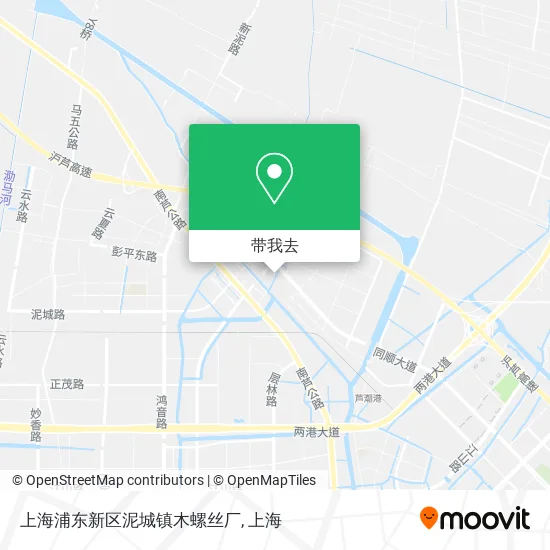 上海浦东新区泥城镇木螺丝厂地图