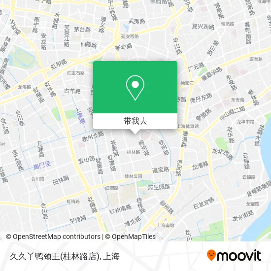 久久丫鸭颈王(桂林路店)地图
