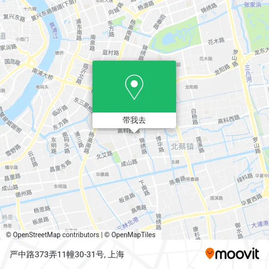 严中路373弄11幢30-31号地图