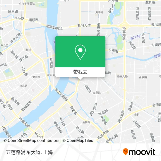 五莲路浦东大道地图