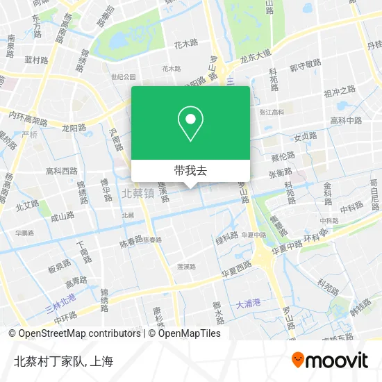 北蔡村丁家队地图