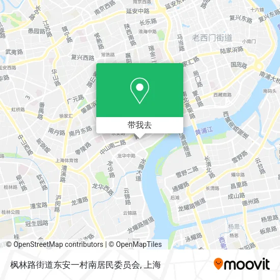 枫林路街道东安一村南居民委员会地图