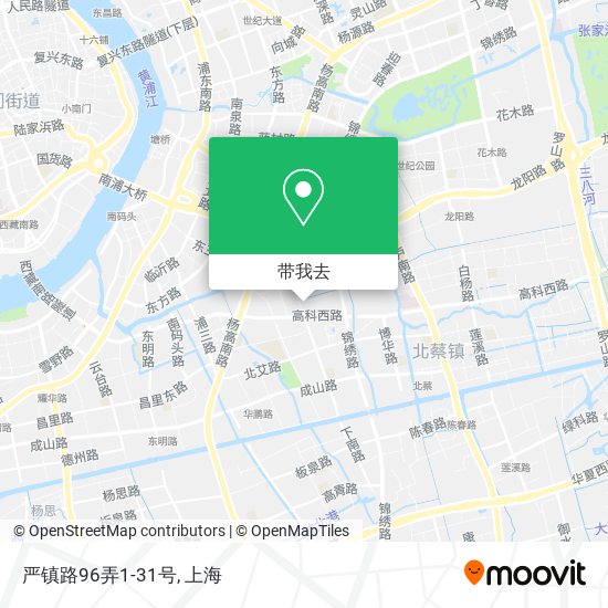 严镇路96弄1-31号地图