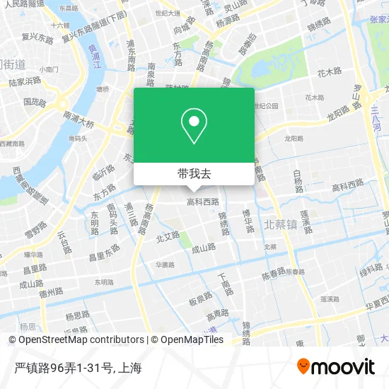 严镇路96弄1-31号地图