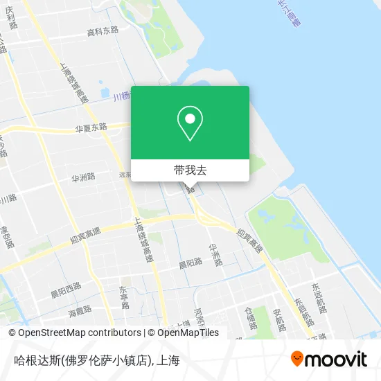 哈根达斯(佛罗伦萨小镇店)地图