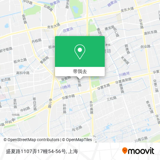 盛夏路1107弄17幢54-56号地图