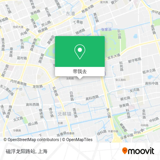 磁浮龙阳路站地图