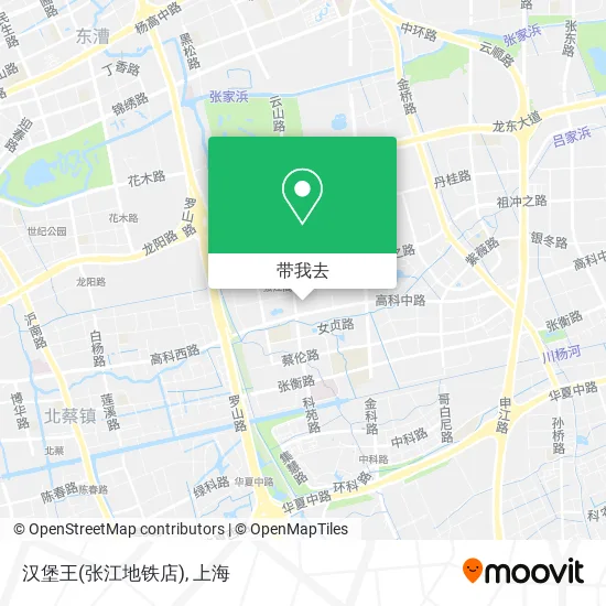 汉堡王(张江地铁店)地图