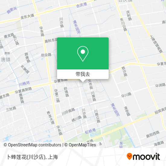 卜蜂莲花(川沙店)地图