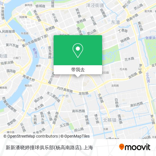 新新潘晓婷撞球俱乐部(杨高南路店)地图