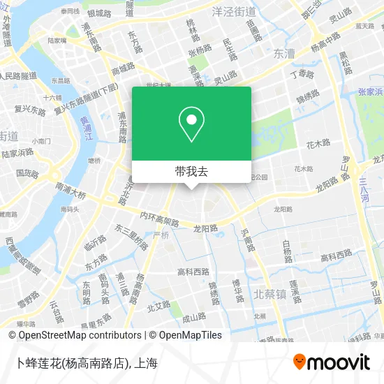 卜蜂莲花(杨高南路店)地图