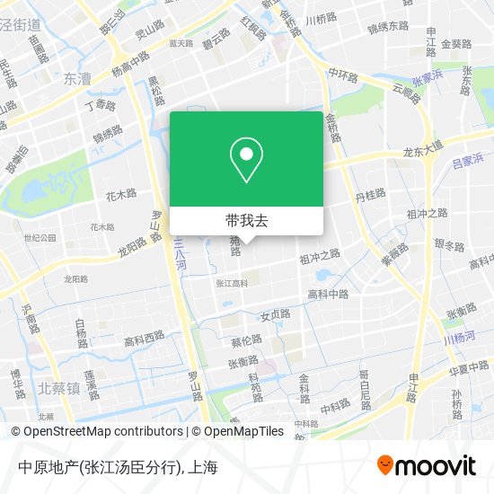 中原地产(张江汤臣分行)地图