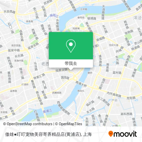 傲雄●叮叮宠物美容寄养精品店(黄浦店)地图