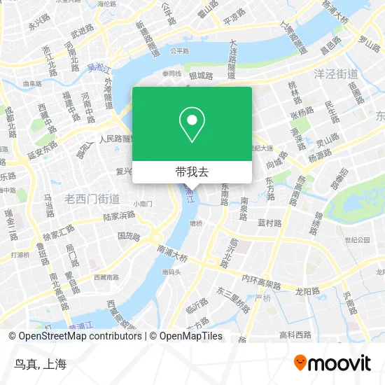 鸟真地图