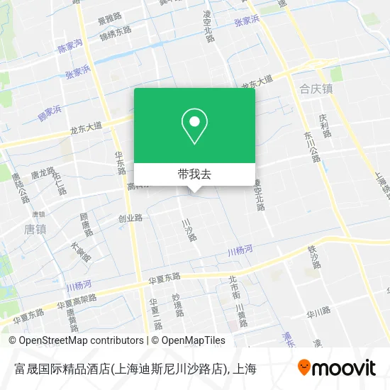 富晟国际精品酒店(上海迪斯尼川沙路店)地图