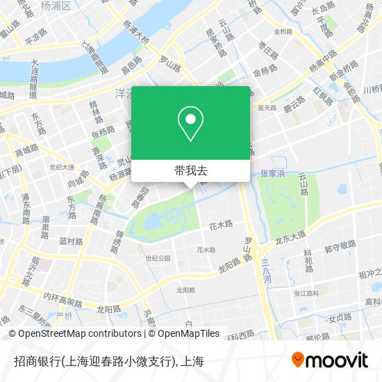 招商银行(上海迎春路小微支行)地图