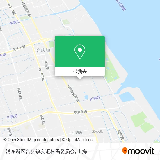 浦东新区合庆镇友谊村民委员会地图
