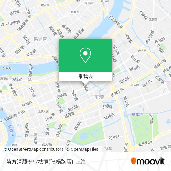 苗方清颜专业祛痘(张杨路店)地图