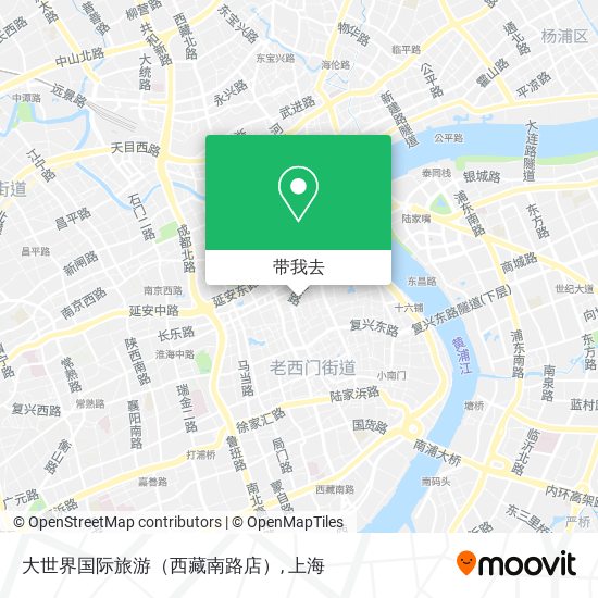 大世界国际旅游（西藏南路店）地图