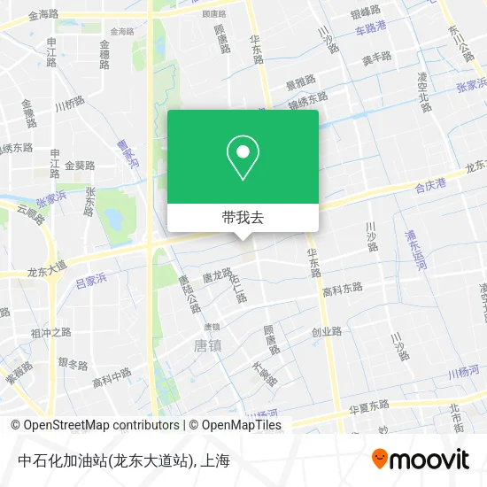 中石化加油站(龙东大道站)地图