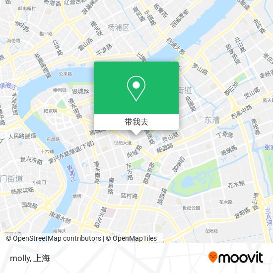 molly地图