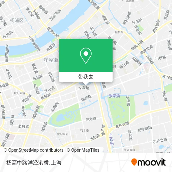 杨高中路洋泾港桥地图