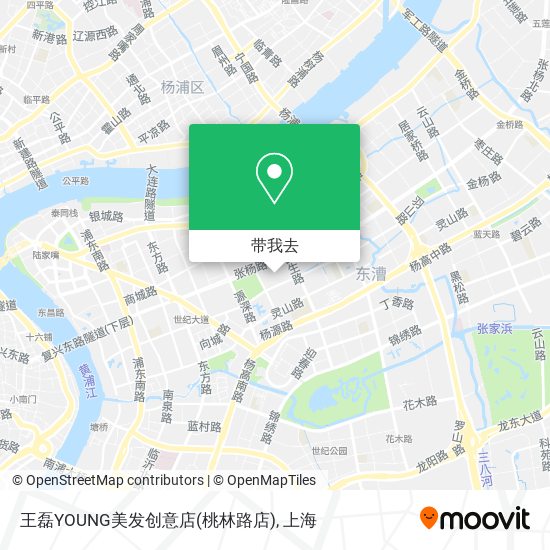 王磊YOUNG美发创意店(桃林路店)地图