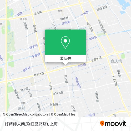 好药师大药房(虹盛药店)地图