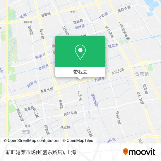 新旺港菜市场(虹盛东路店)地图