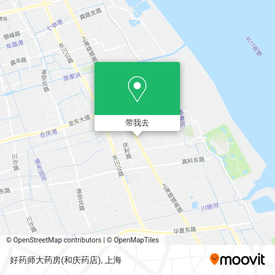 好药师大药房(和庆药店)地图