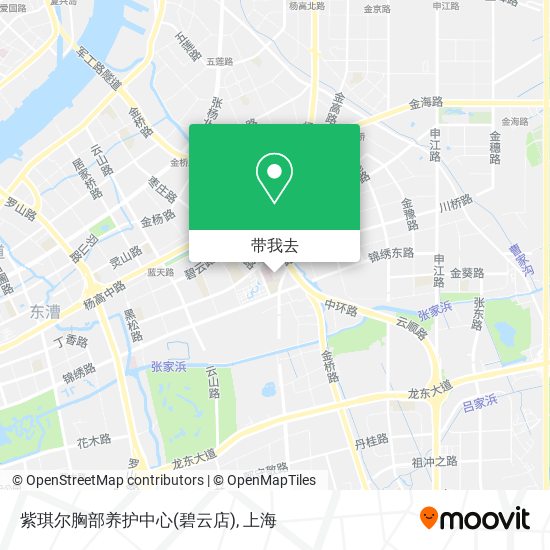 紫琪尔胸部养护中心(碧云店)地图