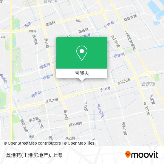 鑫港苑(王港房地产)地图