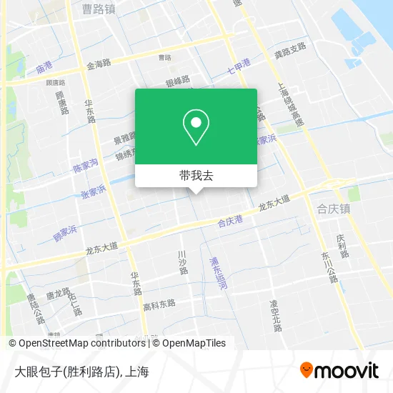 大眼包子(胜利路店)地图